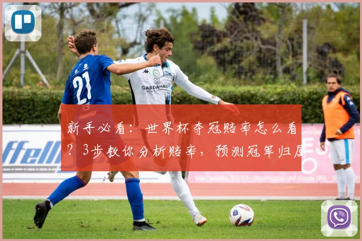 新手必看：世界杯夺冠赔率怎么看？3步教你分析赔率，预测冠军归属！
